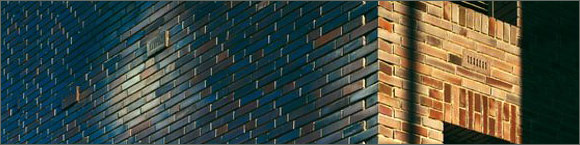 Facing bricks Wittmunder Klinker