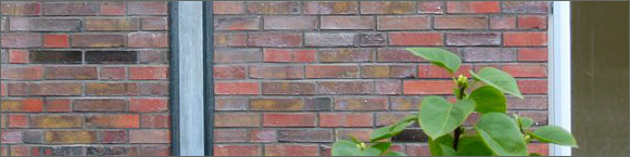 Facing bricks Wittmunder Klinker